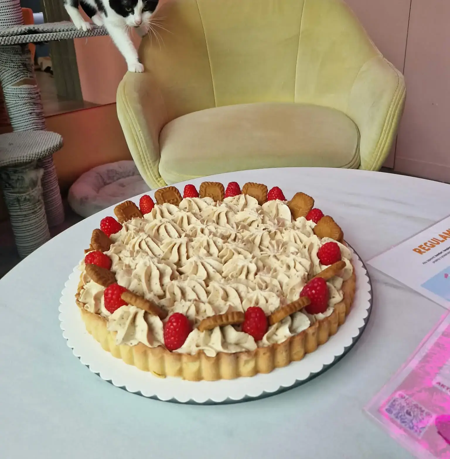 Tarta Lotus Biscoff z kremem karmelowym