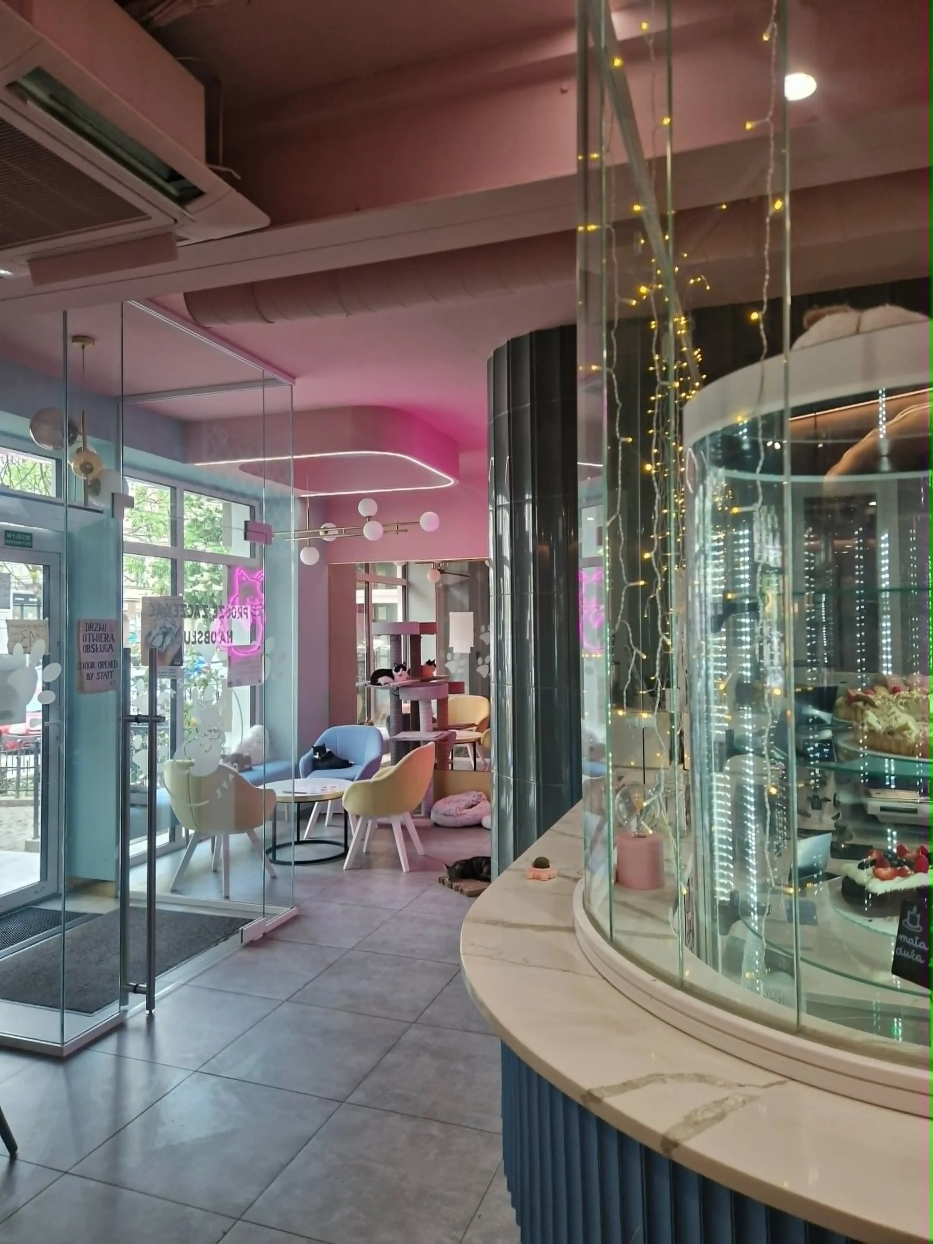 Wnętrze Koci Zakątek Cafe w Szczecinie — kotki i goście przy kawie