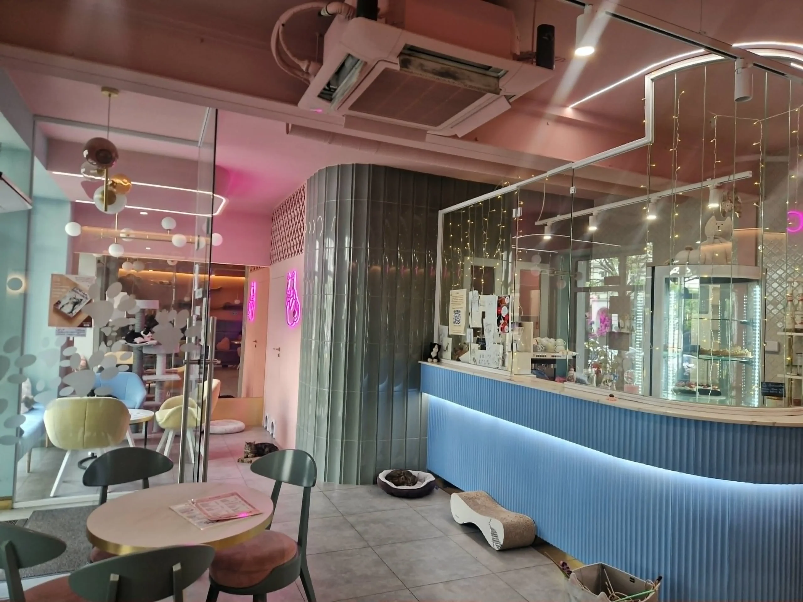 Wnętrze Kociego Zakątka Cafe w Szczecinie