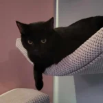 Posejdon