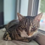 Pablo