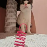 Kminek